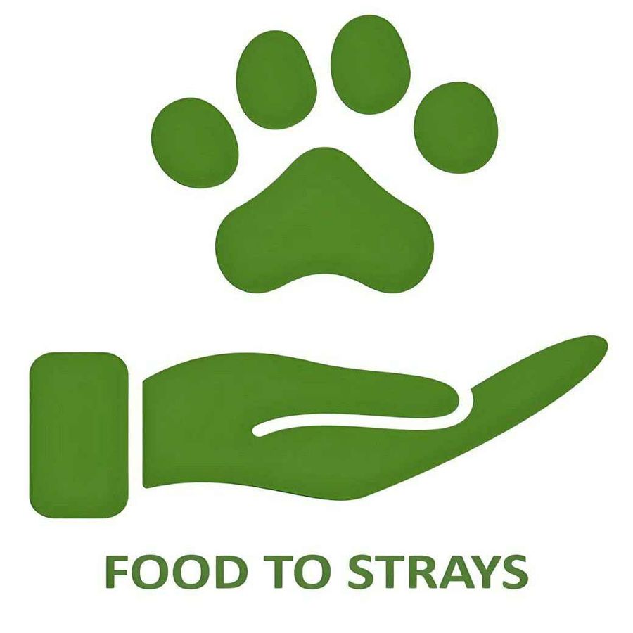 food to strays